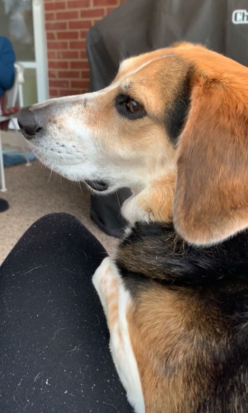 Penny